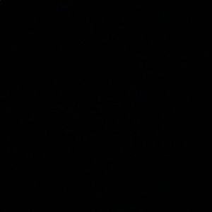 Meet your Posher, Abbey